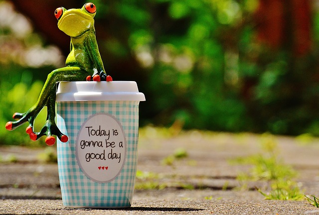 toy frog sitting on coffee cup that says "today is gonna be a good day"