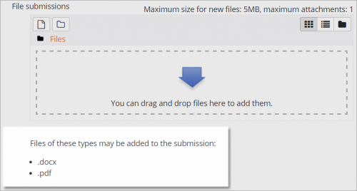 Moodle Assignment File Restrictions