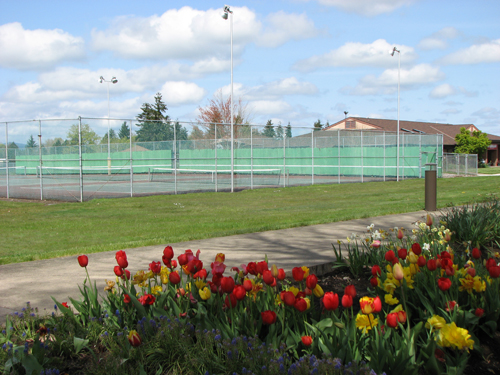 Tennis Courts