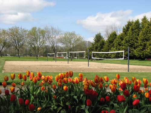 Sand Volleyball Courts